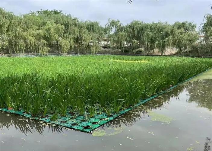 生态浮框种植方案图标