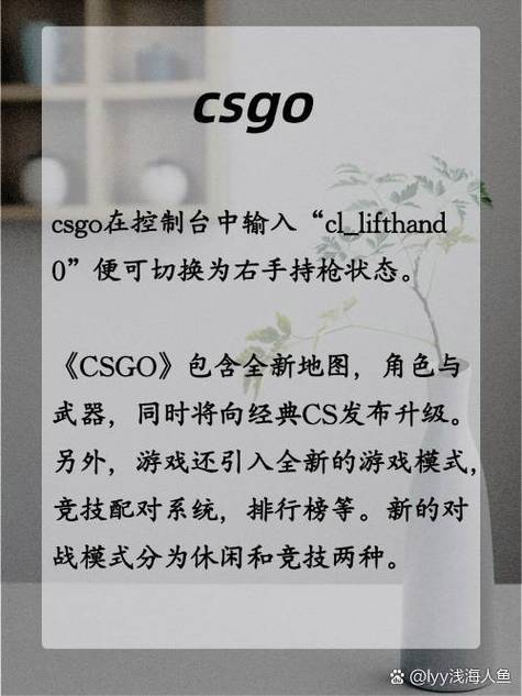 csgo鼠标左右手切换方法
