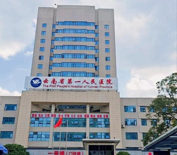 云南昆明昆华医院简介游戏截图