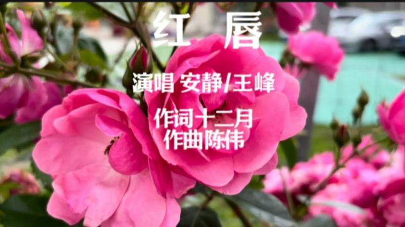 红唇歌曲演唱视频游戏截图