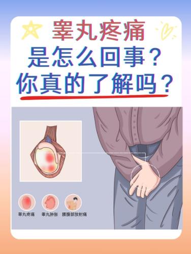 吃猪睾丸能壮阳吗