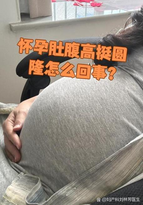 肚子很大很圆还很硬缩略图