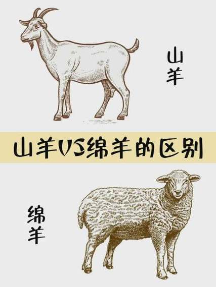 山羊与绵羊图标