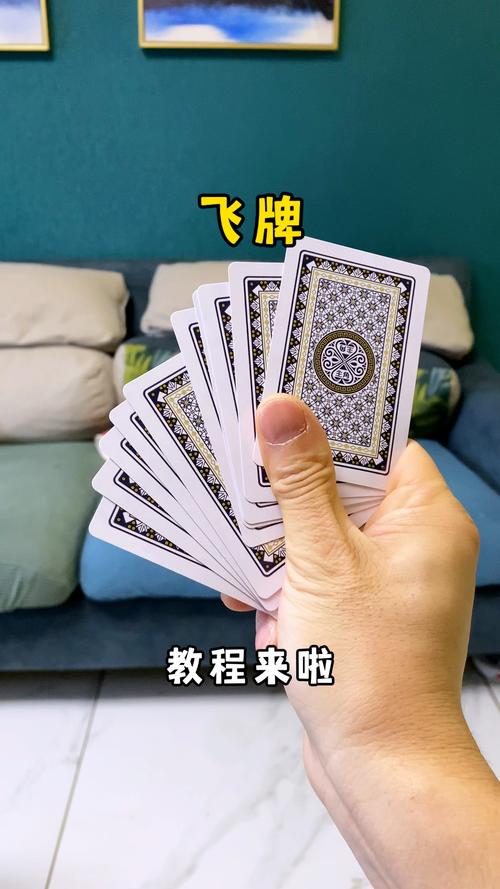儿童飞牌教学游戏截图