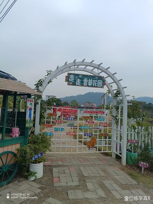 田东县乐普农场地址缩略图
