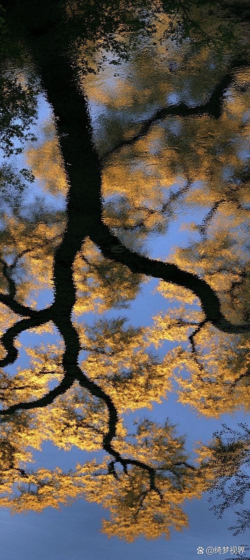 投影是倒过来的