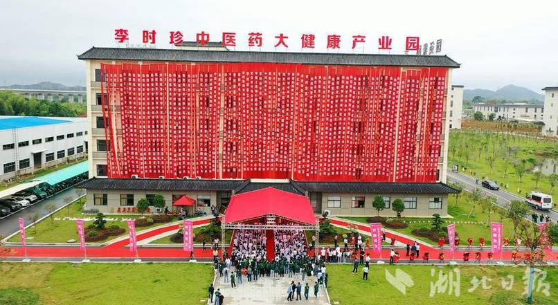 湖北大健康产业公司缩略图