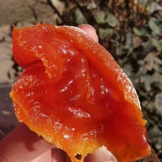 网红柿饼图标