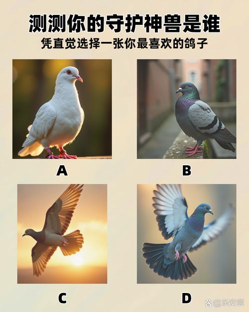 途鸽和爱思益哪个更好
