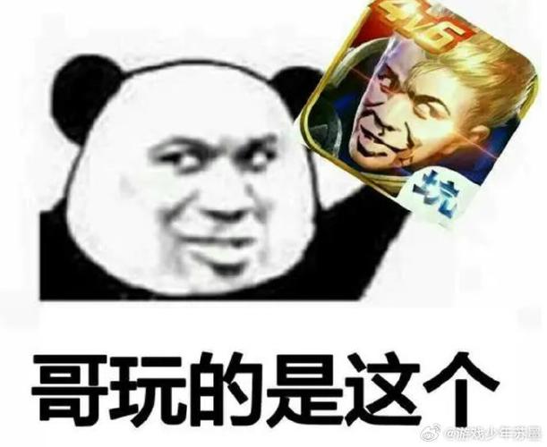 挂王者主页的抽象搞笑视频