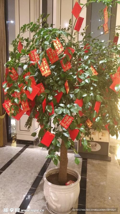 摇钱树红包版缩略图