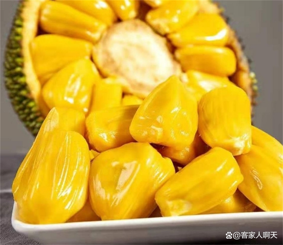 菠萝蜜催熟最快的方法