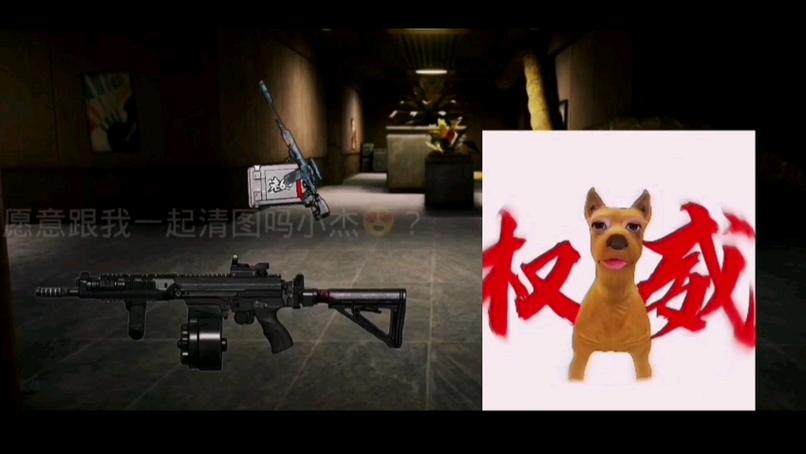 暗区突围小杰伪装