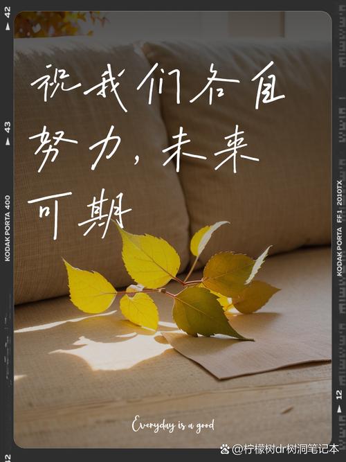 回复别人未来可期的礼貌用语