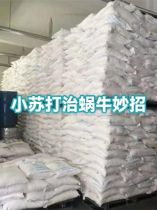 蜗牛的神奇功效游戏截图