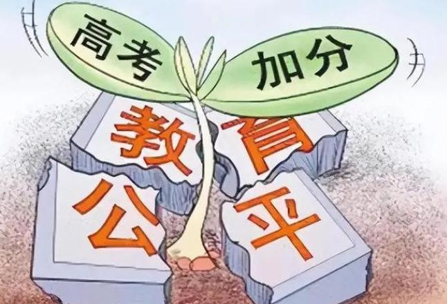 高考围棋能不能加分,加几分图标