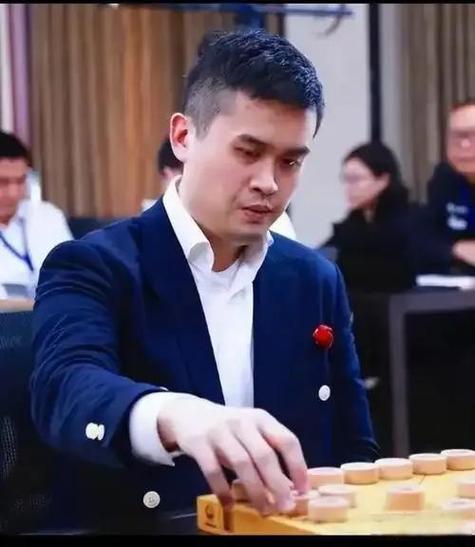 黄杨木象棋容易裂吗图标
