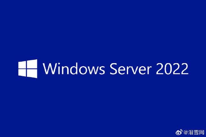中国windowsserver图标