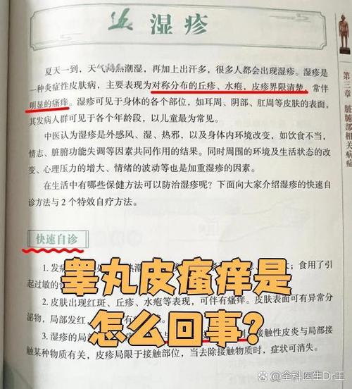 卵蛋皮痒是怎么回事