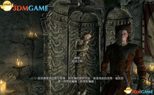 上古卷轴博物馆之夜缩略图
