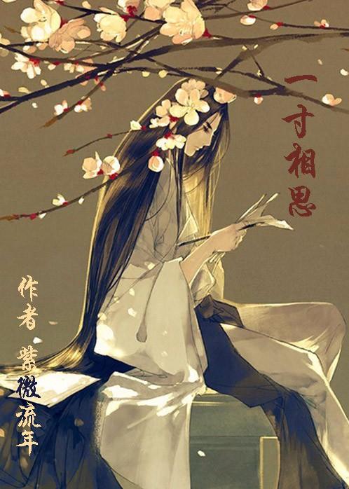 一寸相思小说缩略图