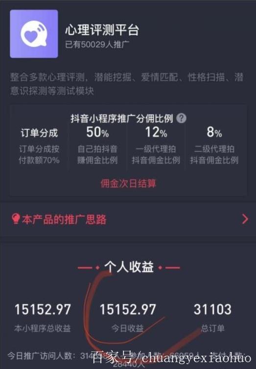 抖音小程序项目赚钱方式缩略图