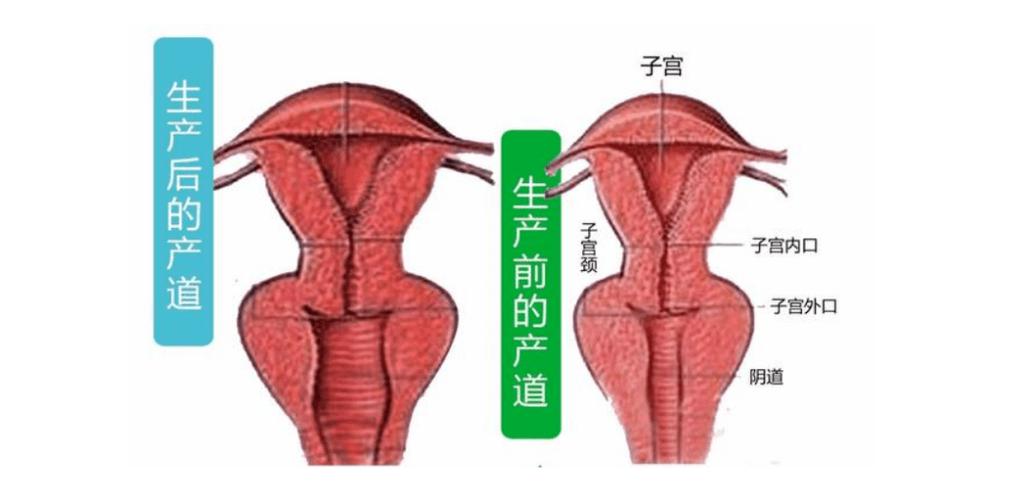 下面松了怎么修复