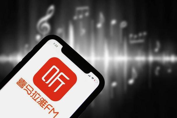 喜马拉雅明明有网却说无网络