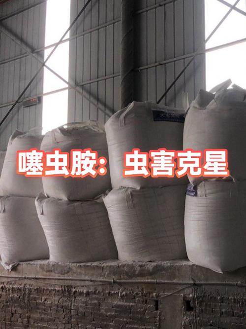 蠹虫最怕的克星缩略图