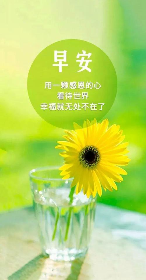 今日分享正能量小短语