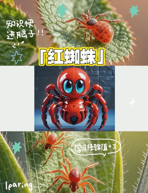 virabot病毒红蜘蛛图标