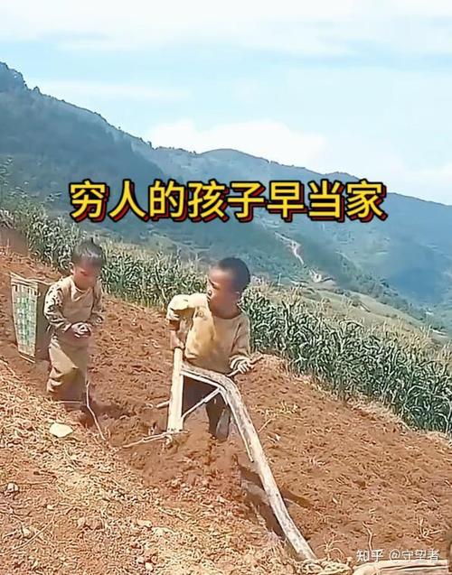 张雪峰说穷人家选啥专业缩略图