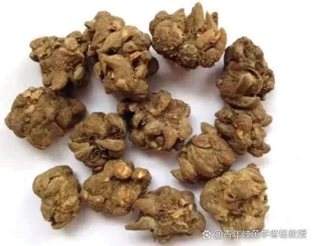 中国药典麦芽功效图标