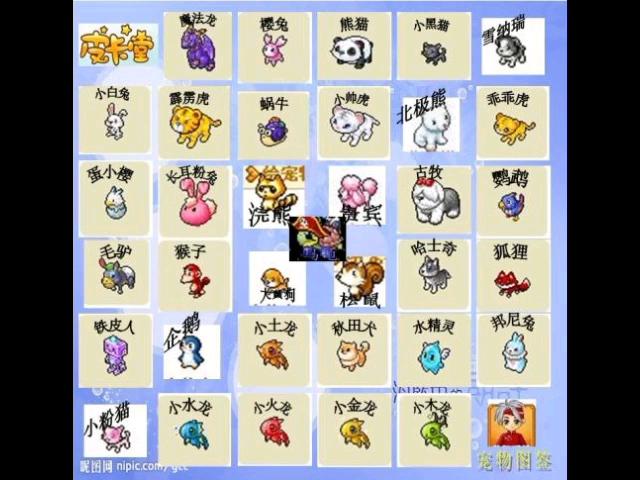 皮卡堂3d怎么让宠物跟随游戏截图