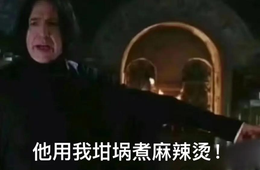 HP你与斯内普do后的反应