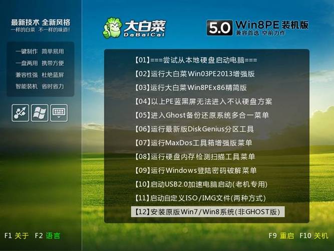 大白菜iso镜像文件下载缩略图