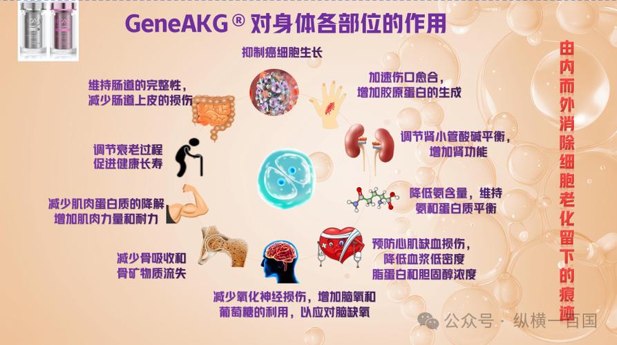 akg的功效和副作用图标