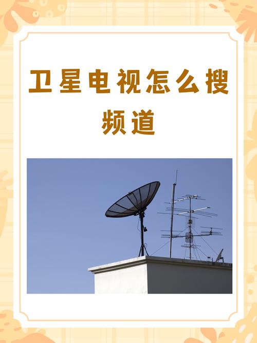 卫星电视手机版下载游戏截图