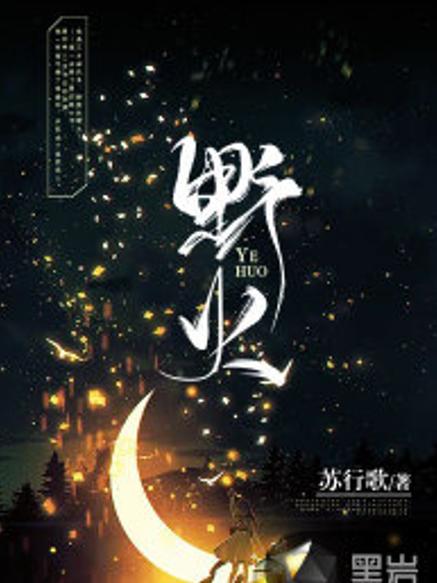 野火小说阅读缩略图