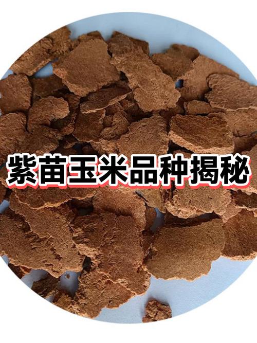 lostllife怎么长出紫角缩略图
