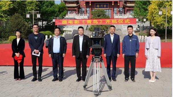 青鸟影视影视官网图标