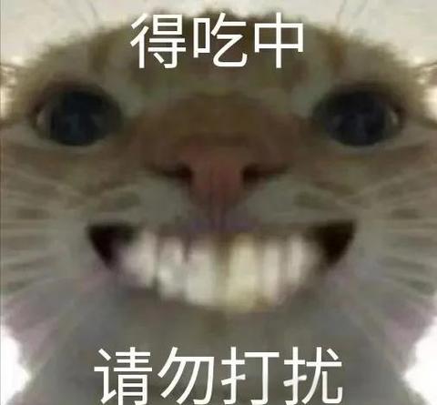 搞笑的图片表情包缩略图