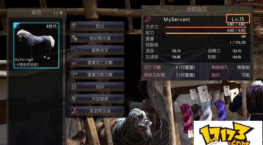 黑色沙漠纳贡游戏截图