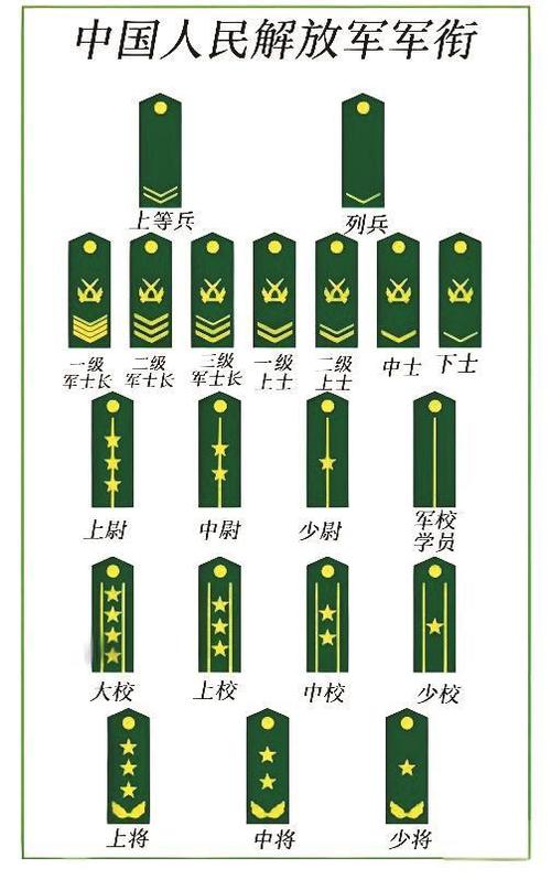 士兵的十二个等级缩略图