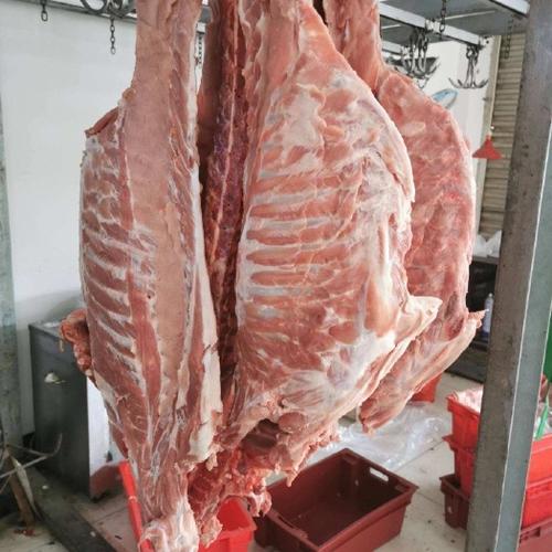 生鲜猪肉批发平台