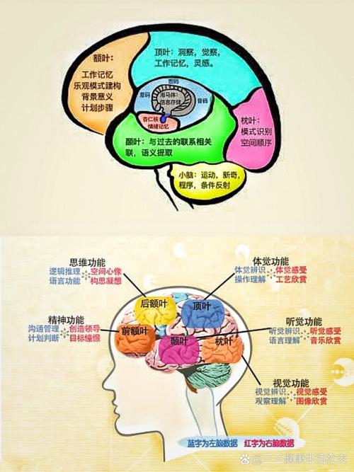 普通脑点子缩略图