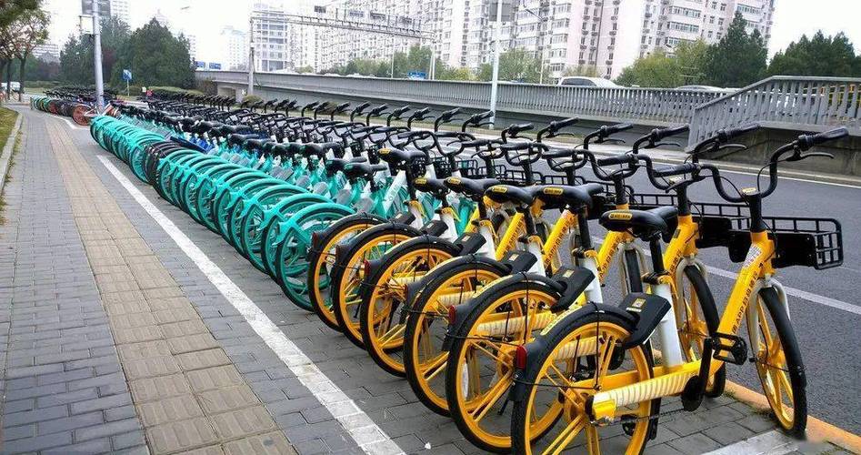 共享单车有几种缩略图