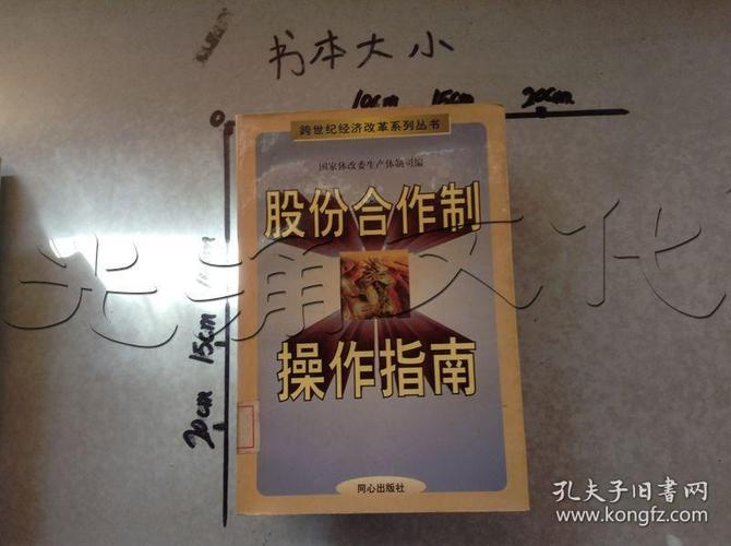 无股份董事的法律责任