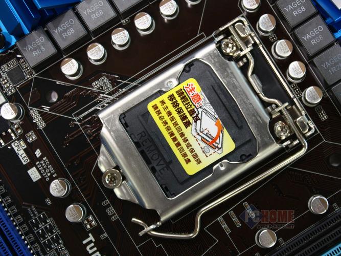 龙之日steam怎么下载图标