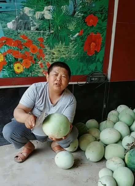 西瓜历史老旧版本大全图标